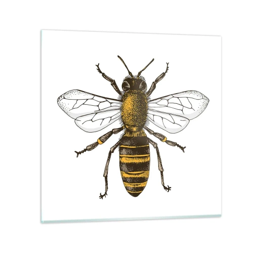 Obraz na skle - Krásná a dobrá - 40x40 cm