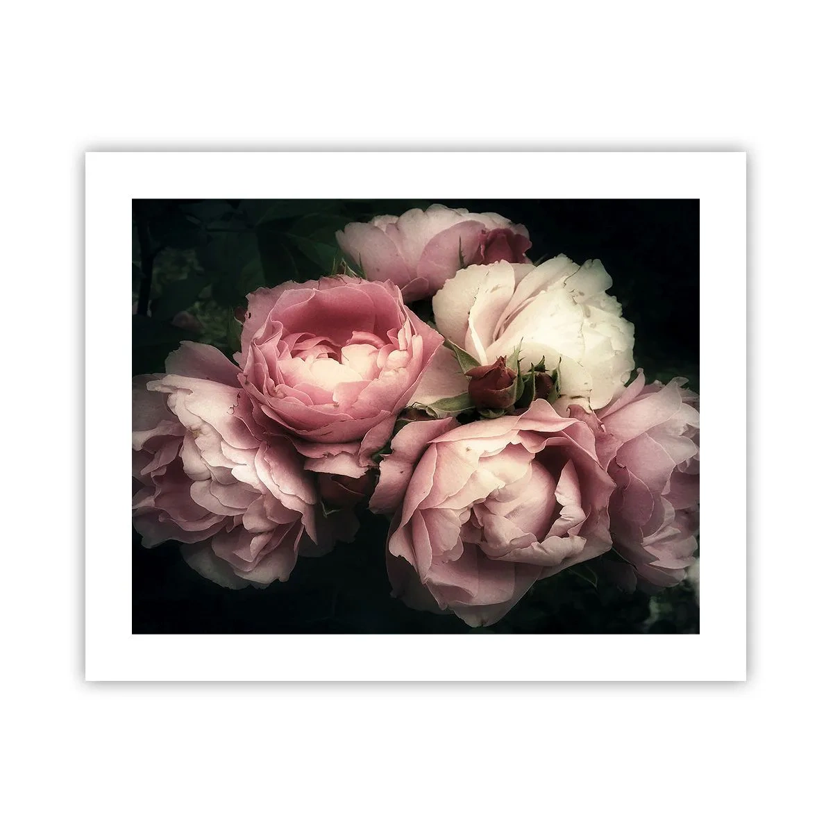 Plakát - Kouzlo belle epoque - 50x40 cm