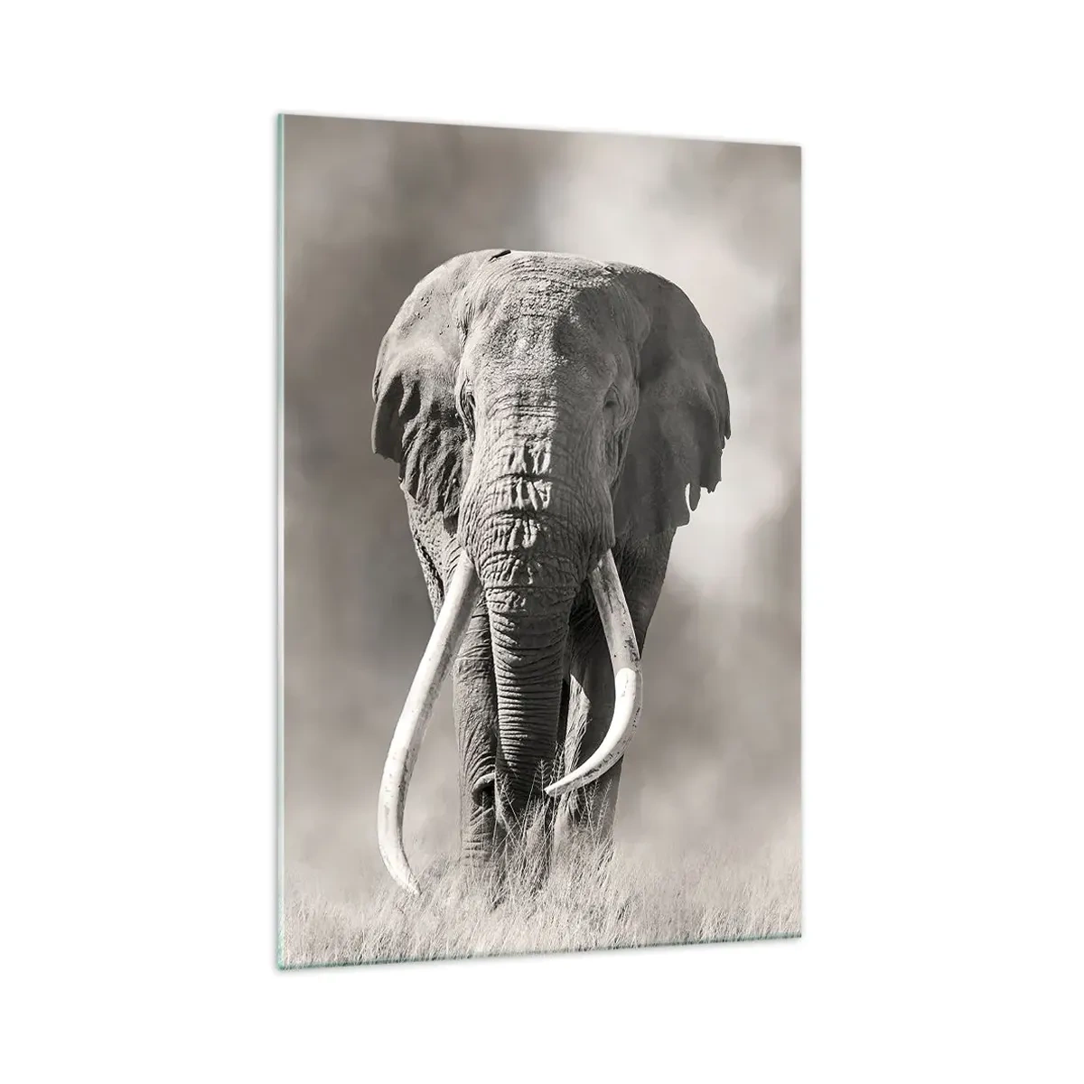 Obraz na skle - Africký patriarcha - 70x100 cm