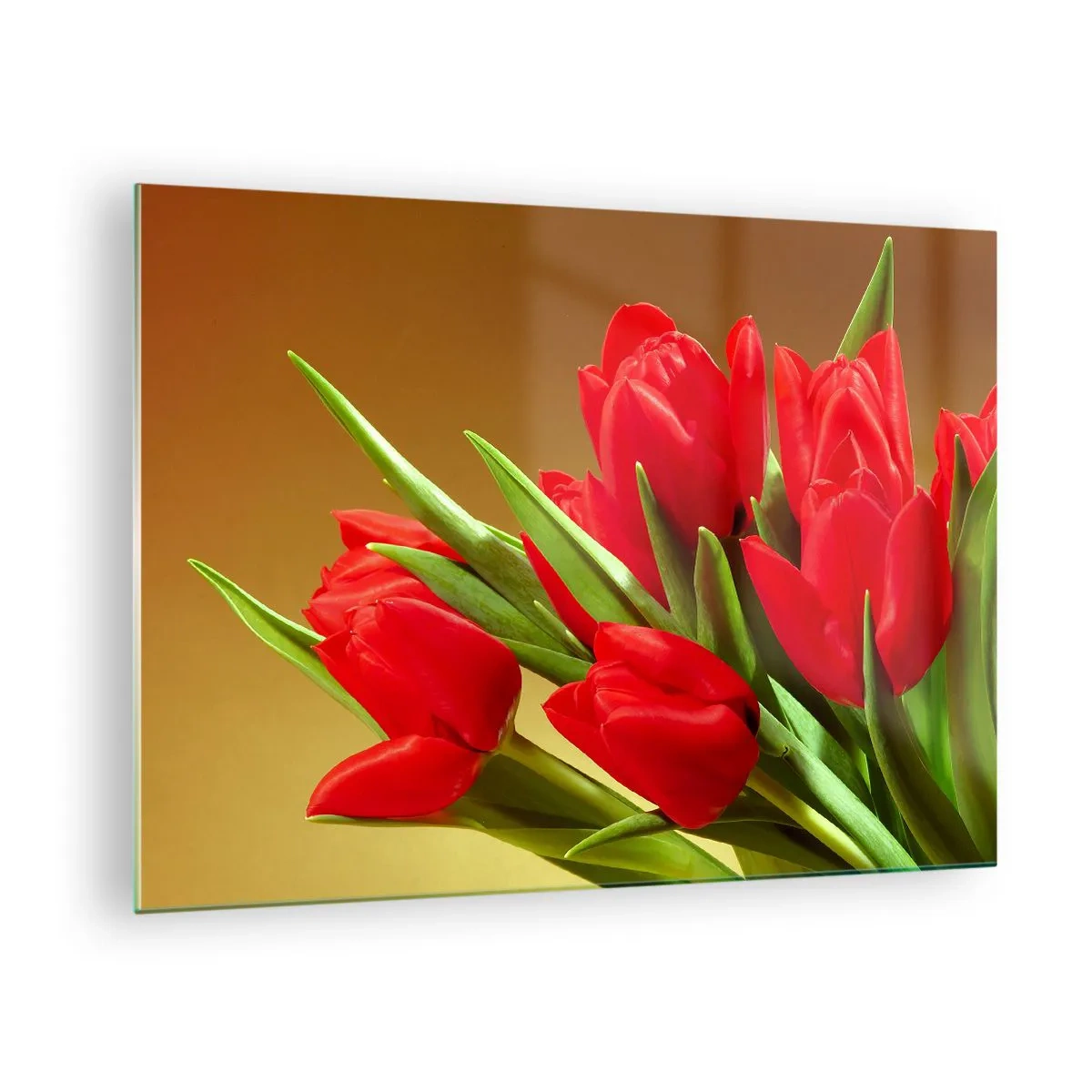 Obraz na skle - Kytice červených tulipánů na zlatém pozadí - 70x50cm - Pupen jarní radosti - Moderní nástěnná dekorace do obývacího pokoje a ložnice ARTTOR