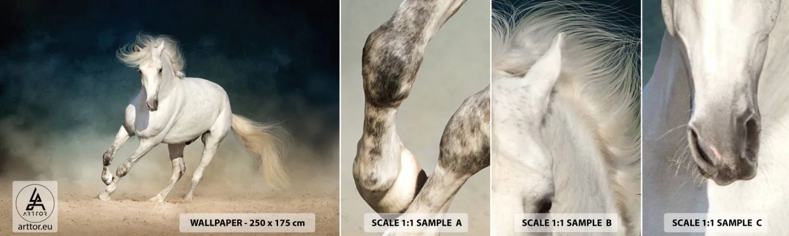 Fototapeta Vzorek Standard Eco - Svoboda v čistém stavu - Kůň, Zvíře, Bílý - 100x30 cm