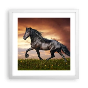 Plakát v bílém rámu - Černý kníže - 40x40 cm