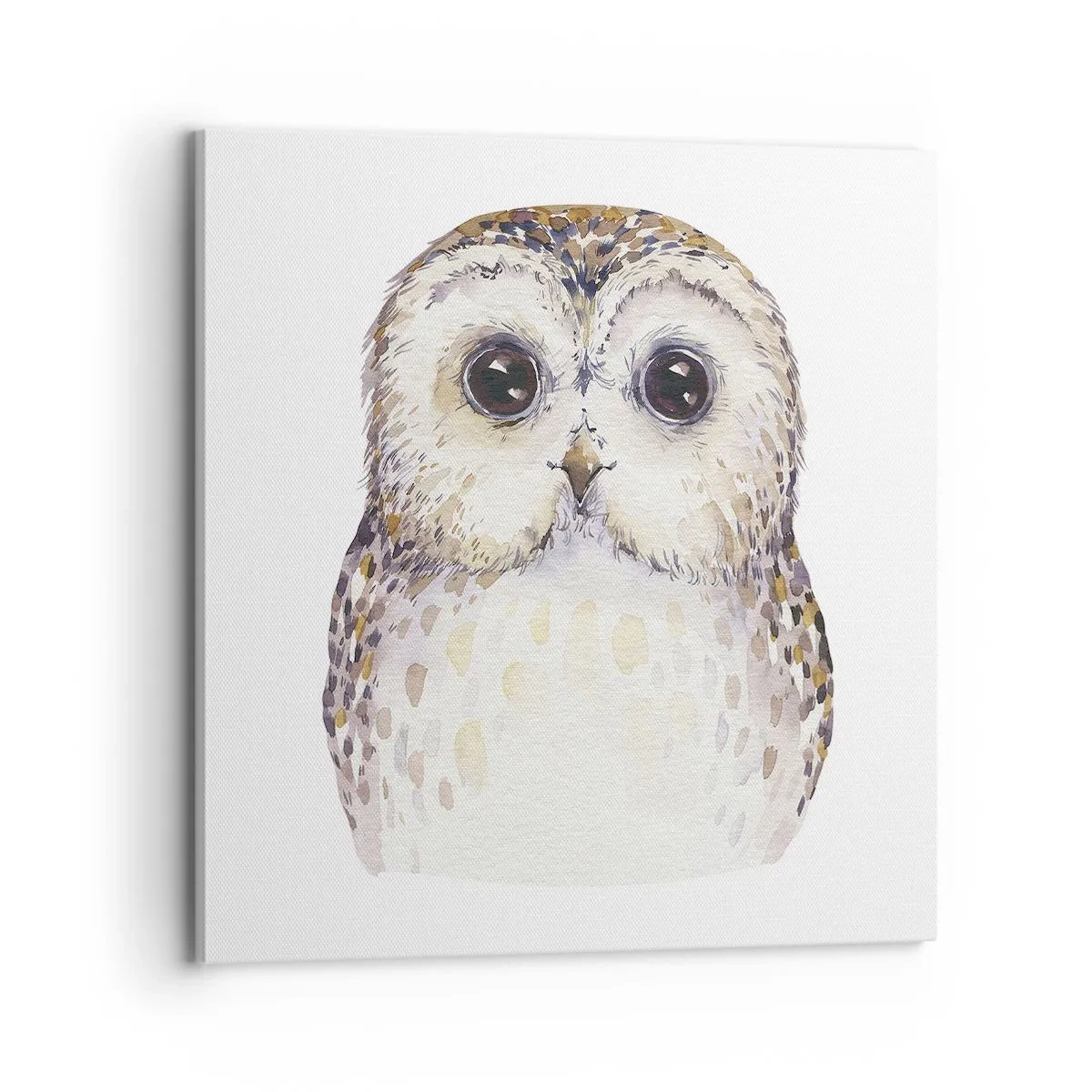 Obraz na plátně - Podívej se mi do očí - 70x70 cm