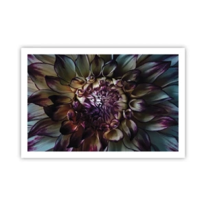 Plakát - Rozkvět mládí - 91x61 cm