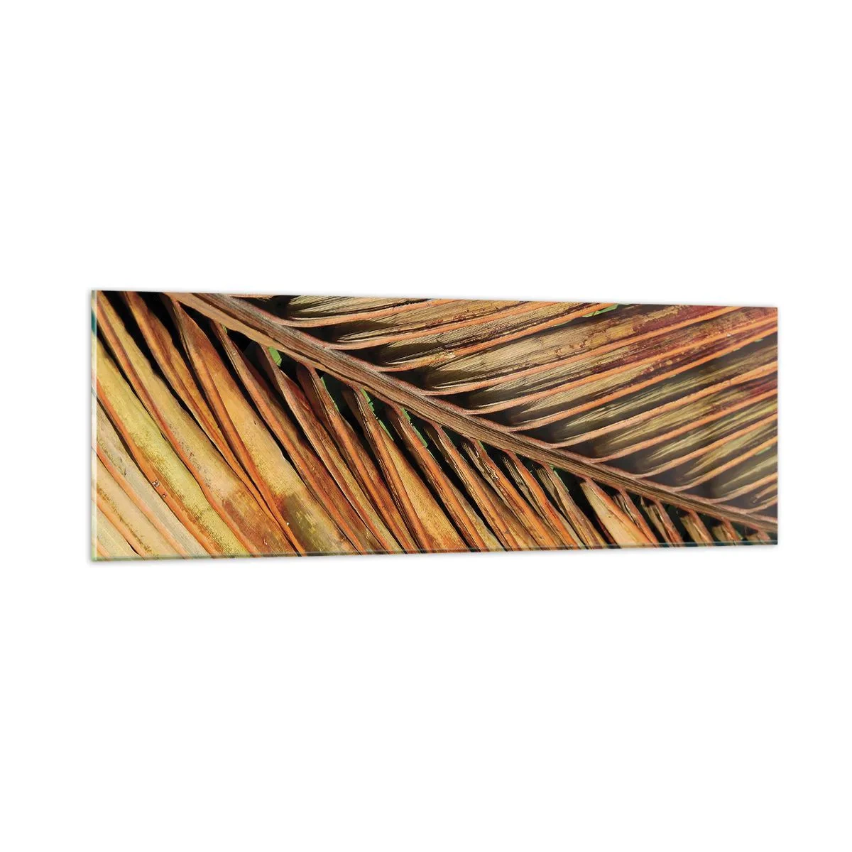 Obraz na skle - Kokosové zlato - 90x30 cm