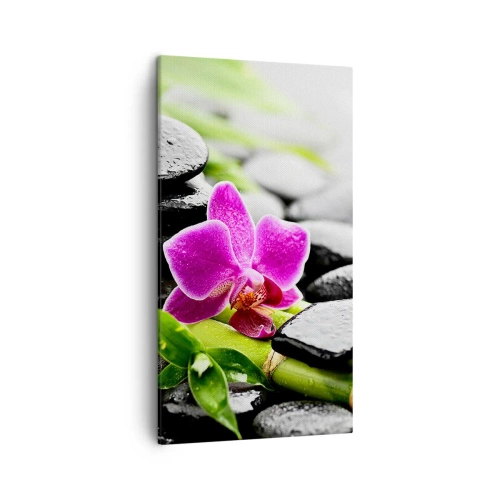 Obraz na plátně - V klidné rovnováze - 45x80 cm