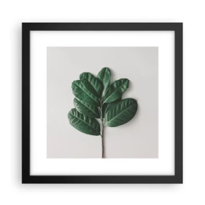 Plakát v černém rámu - Kresba samotné přírody - 30x30 cm