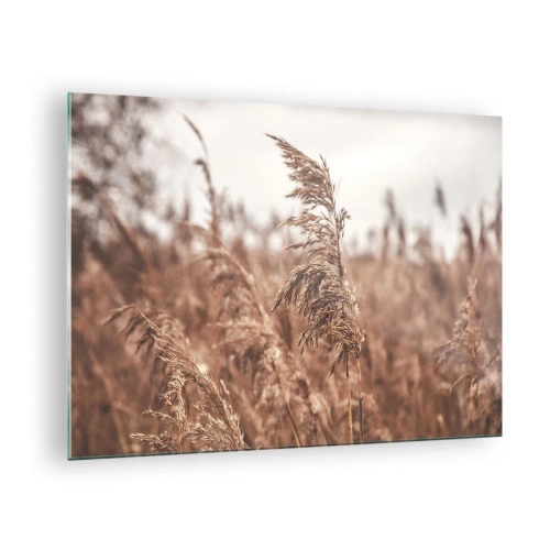 Obraz na skle - Sušené trávy ve větru v podzimním světle přírody - 70x50cm - Na polích už je podzim - Moderní nástěnná dekorace do obývacího pokoje a ložnice ARTTOR