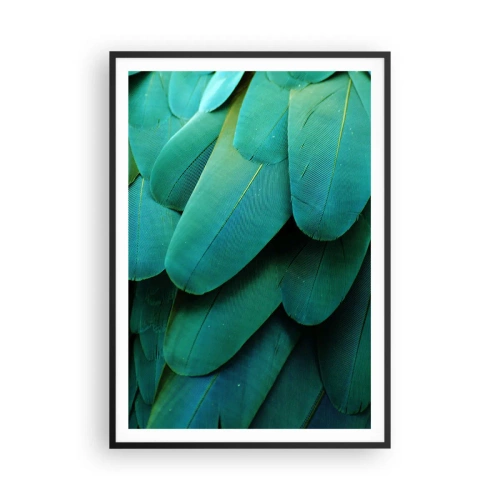 Plakát v černém rámu - Přesnost papouščí povahy - 70x100 cm