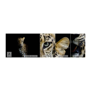 Vzor Fototapety Premium Sand - Temná krása - Zvířata, leopard, Divoká kočka - 100x30 cm