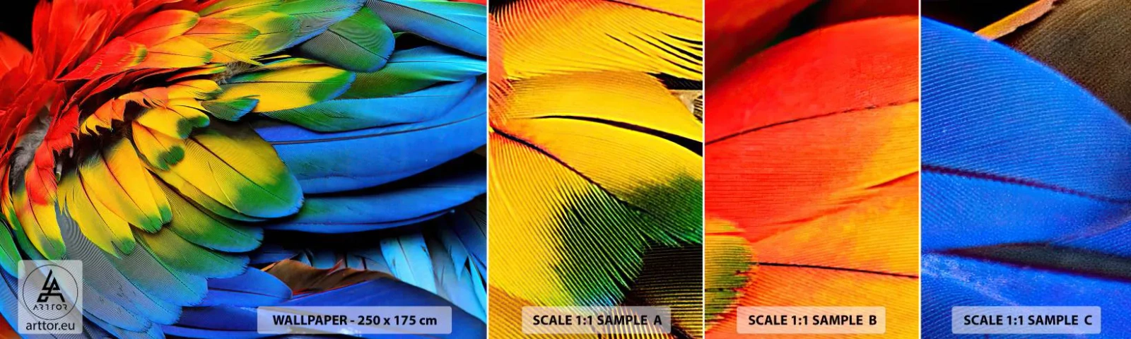 Fototapeta Vzorek Standard Eco - Nebeský pták - Barevné peří, Papouščí peří, Zvířata - 100x30 cm