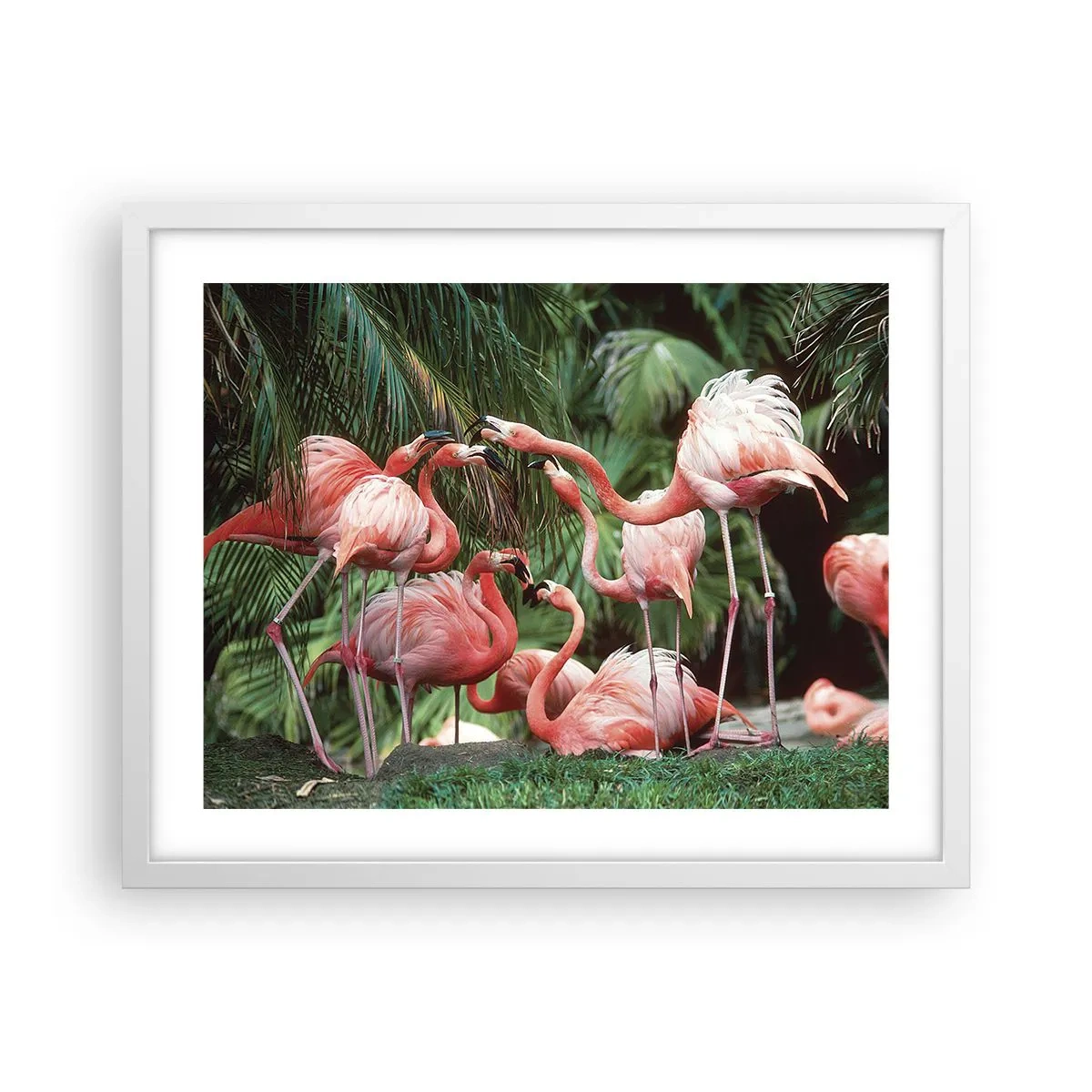 Plakát v bílém rámu - Odpolední drby - 50x40 cm