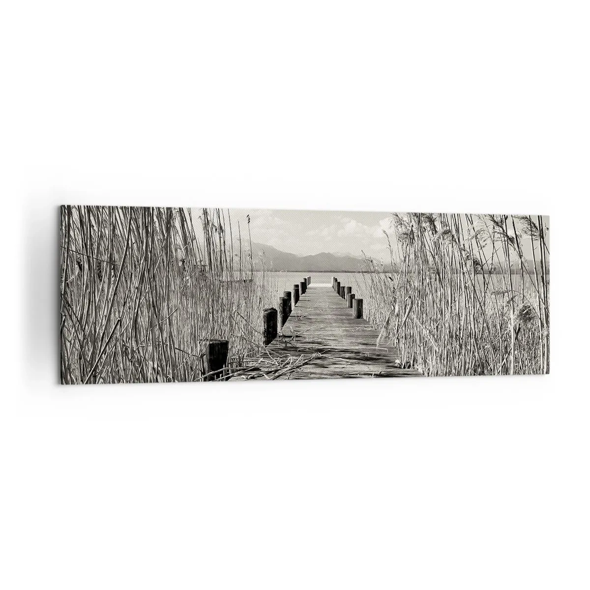 Obraz na plátně - V ústraní travin - 160x50 cm