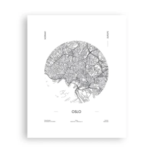Plakát - Anatomie Osla - 40x50 cm