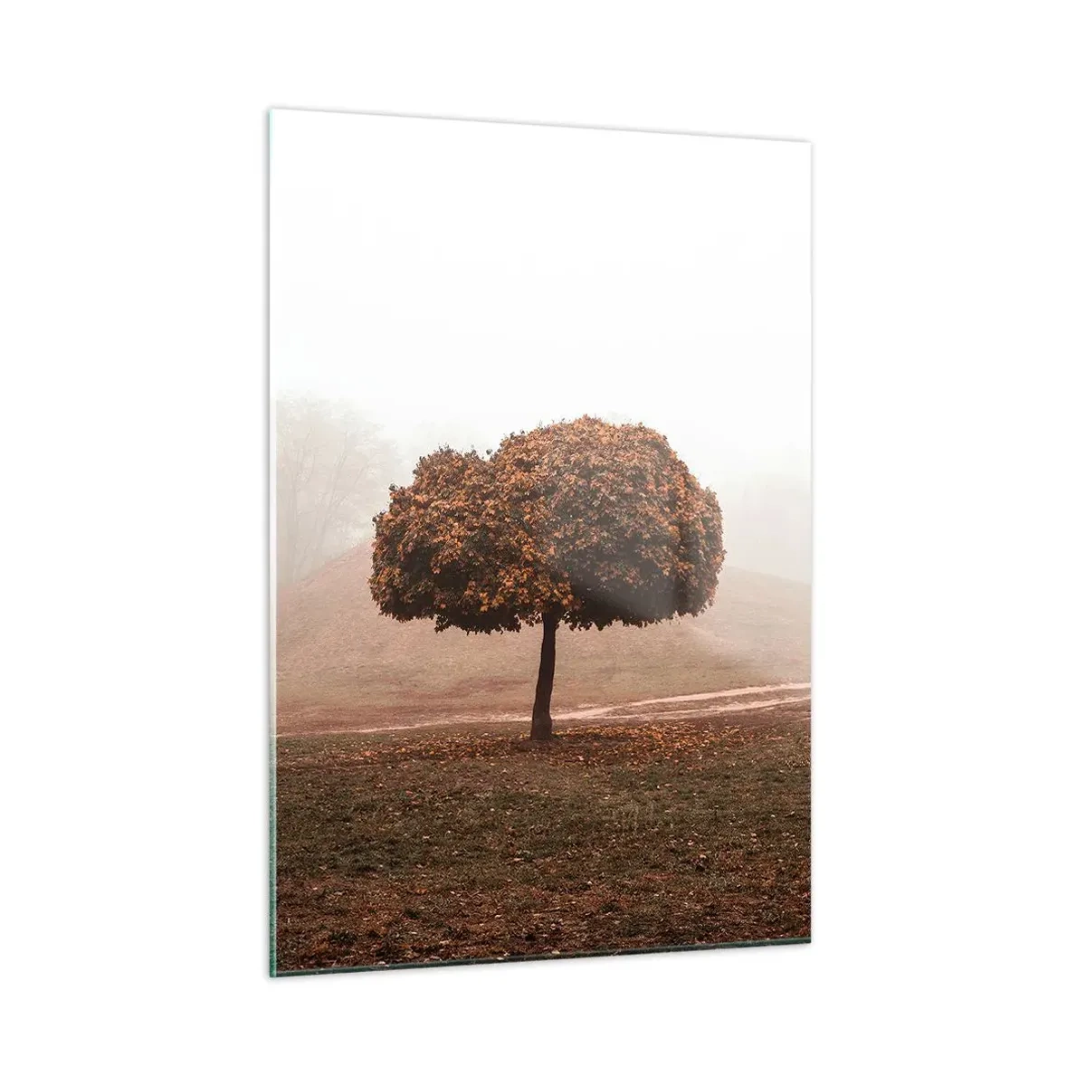 Obraz na skle - Po rušném létě - 50x70 cm