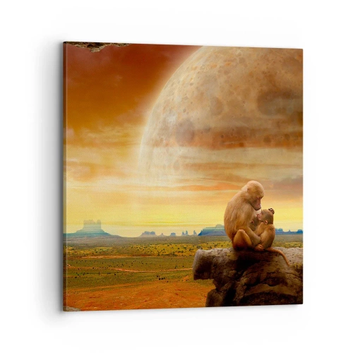 Obraz na plátně - Láska je všude stejná - 70x70 cm