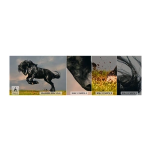 Vzor Fototapety Samolepicí Deluxe Sticker - Krásný a svobodný - Zvířata, Kůň, Krajina - 100x30 cm
