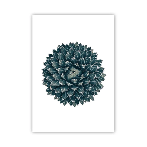 Plakát - Hvězda pouště - 70x100 cm