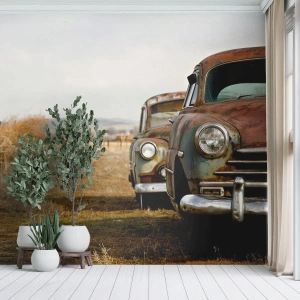 Fototapeta Standard Eco - Zasloužený odpočinek - Staré auto, Automobilový průmysl, Vinobraní - 400x280 cm