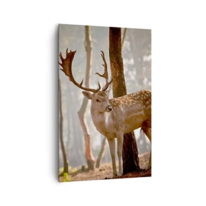 Obraz na plátně - Světlo mládí - 80x120 cm