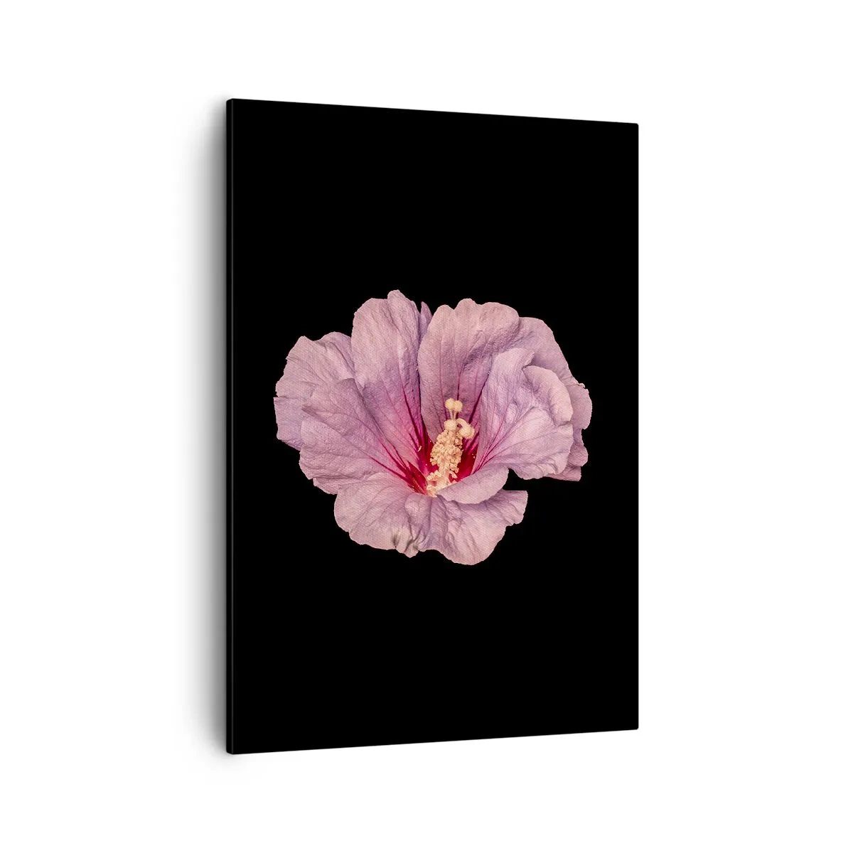 Obraz na plátně - Přímo do srdce - 50x70 cm