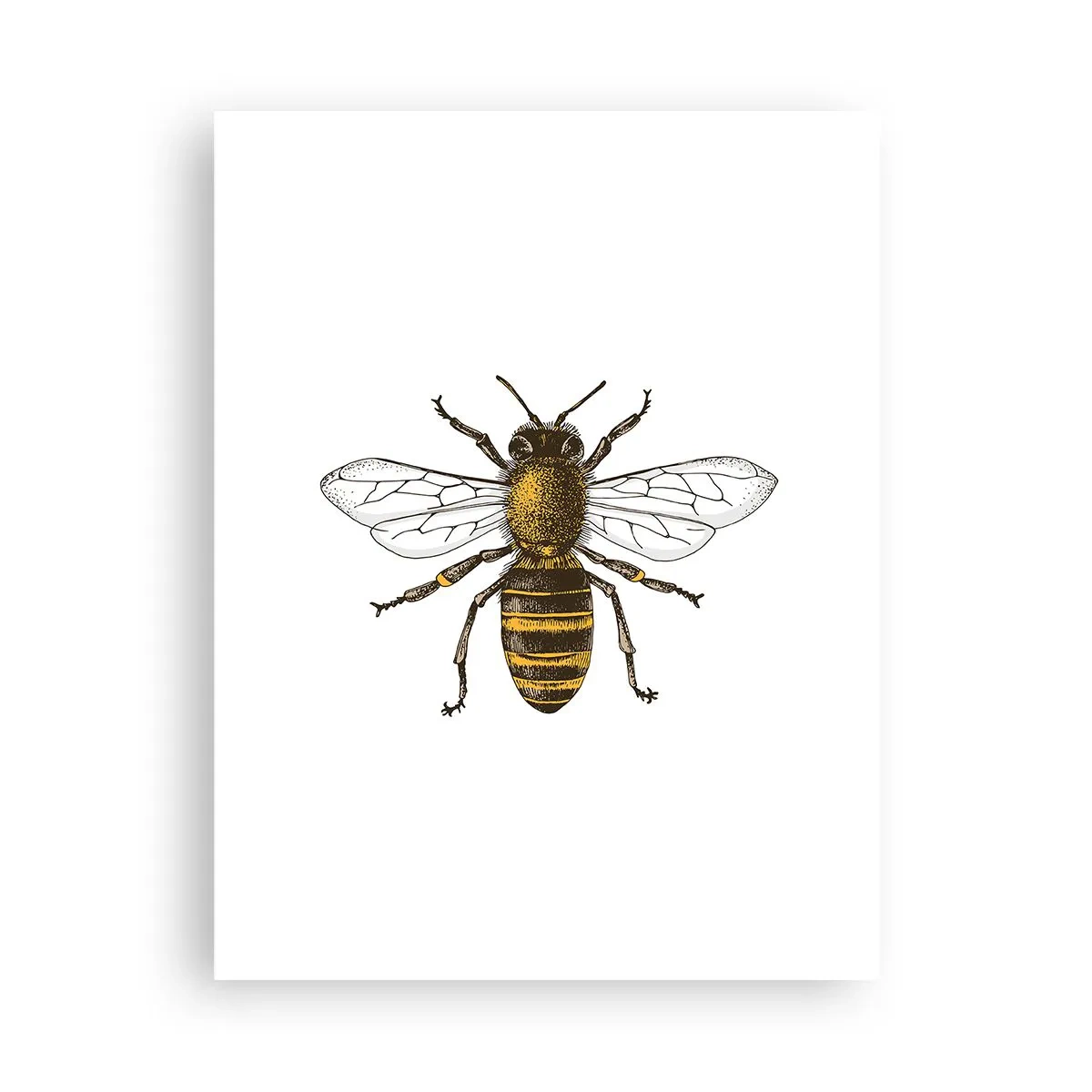 Plakát - Krásná a dobrá - 30x40 cm