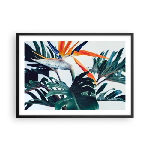 Plakát v černém rámu - Ptákeř - 70x50 cm