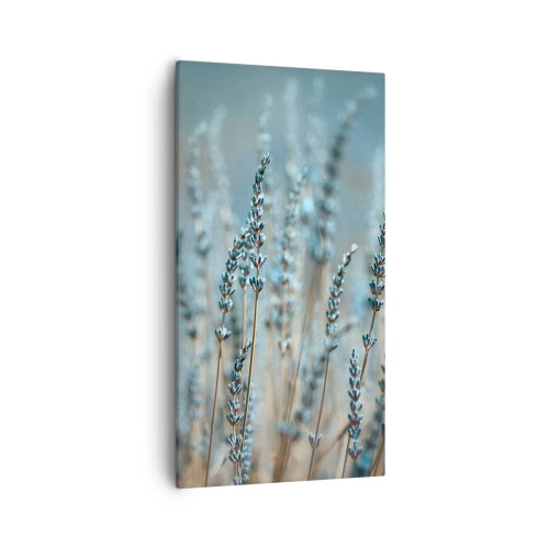 Obraz na plátně - Voňavý lán - 55x100 cm