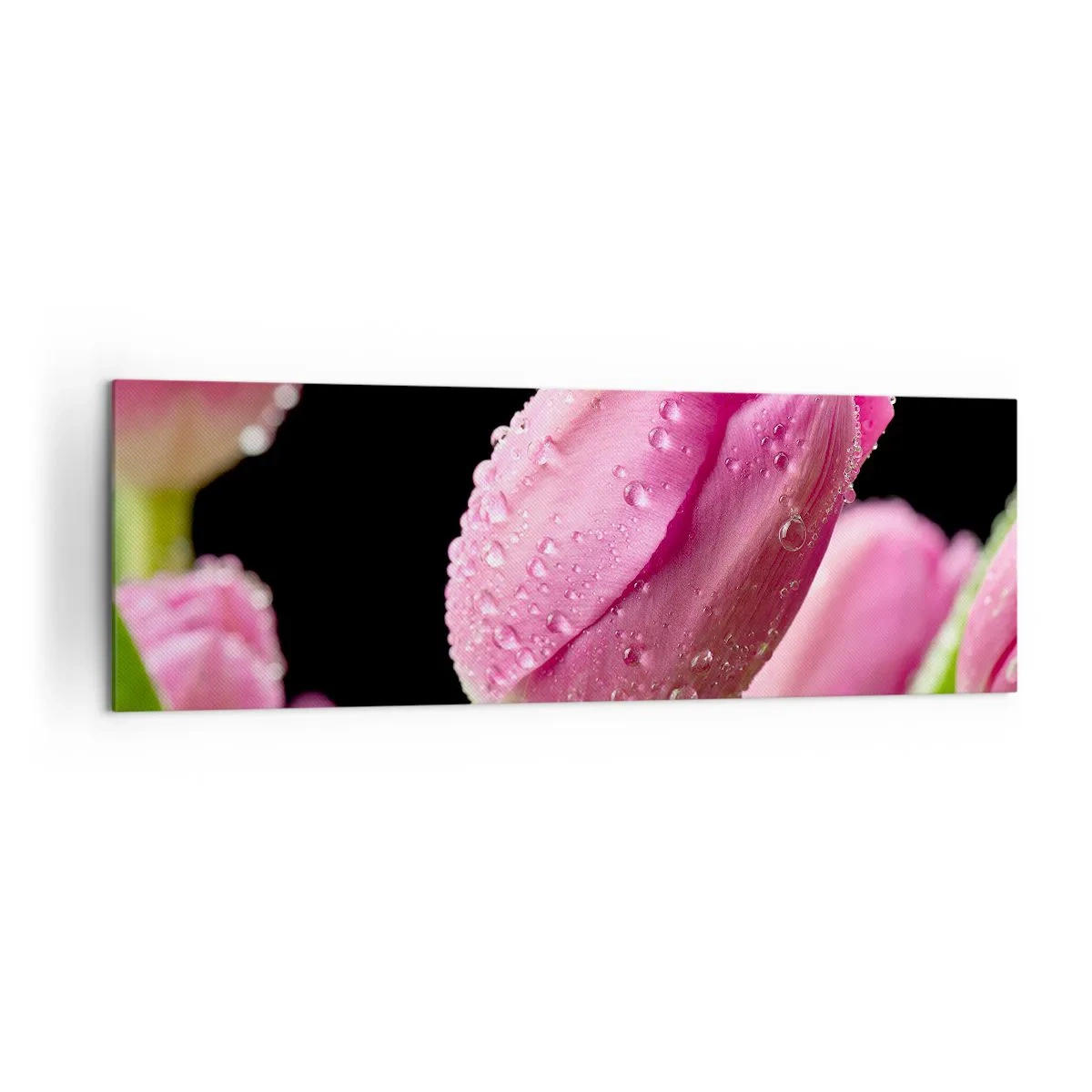 Obraz na plátně - Liliový sen v rose - 160x50 cm