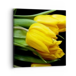 Obraz na plátně - Vznikly z čistého slunce - 30x30 cm