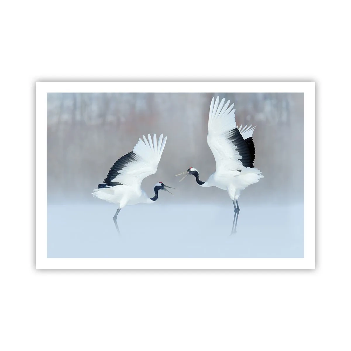 Plakát - Tanec v mlze - 91x61 cm