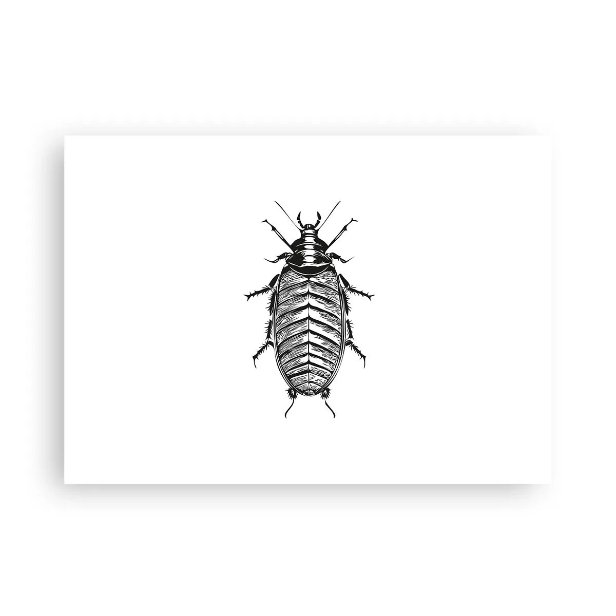 Plakát - Vzorový exemplář! - 70x50 cm