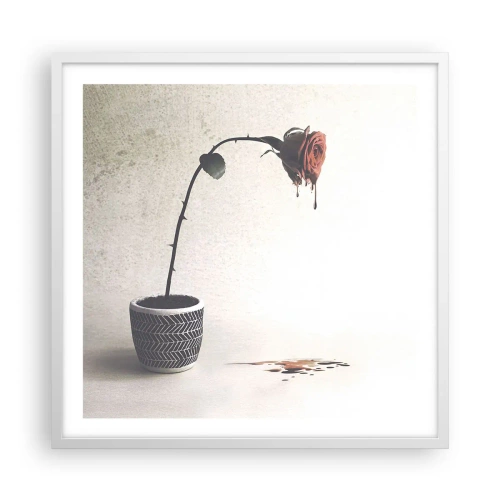 Plakát v bílém rámu - Rosa dolorosa - 60x60 cm