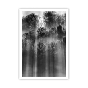 Plakát - V paprscích světla - 70x100 cm