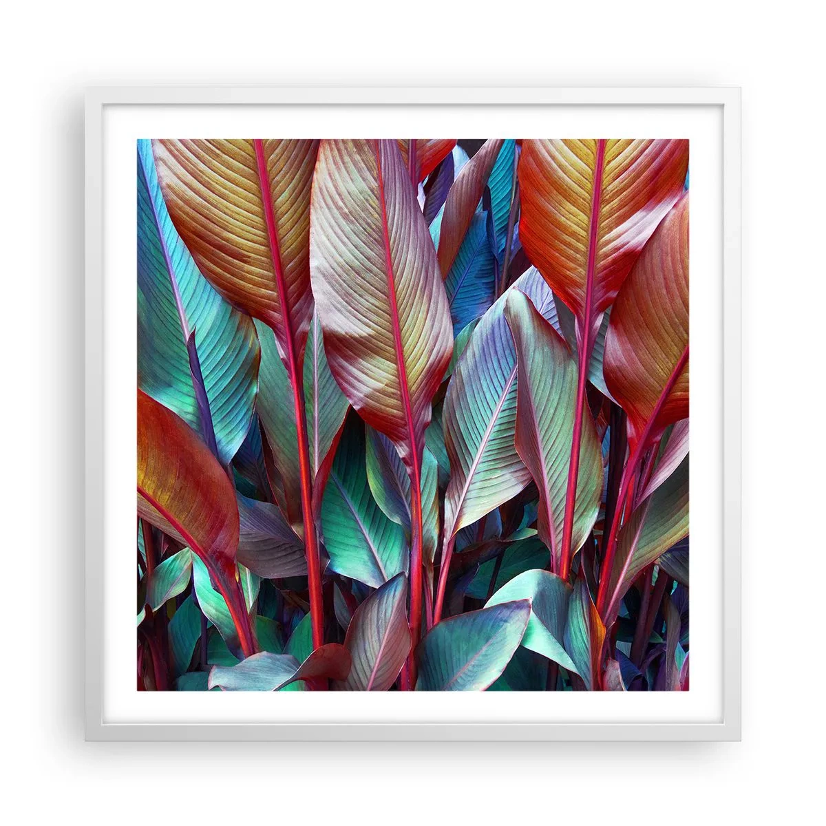 Plakát v bílém rámu - Barevná houština - 60x60 cm
