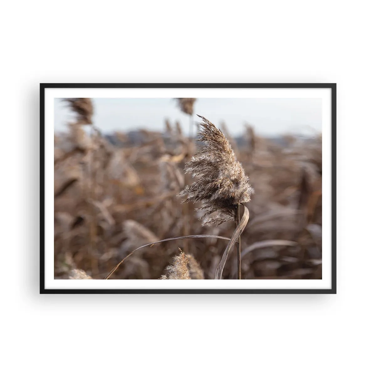 Plakát v černém rámu - Čas odletět s větrem - 100x70 cm