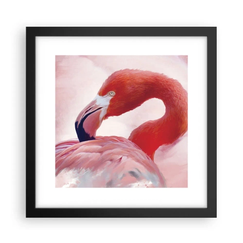 Plakát v černém rámu - Ptačí krása - 30x30 cm