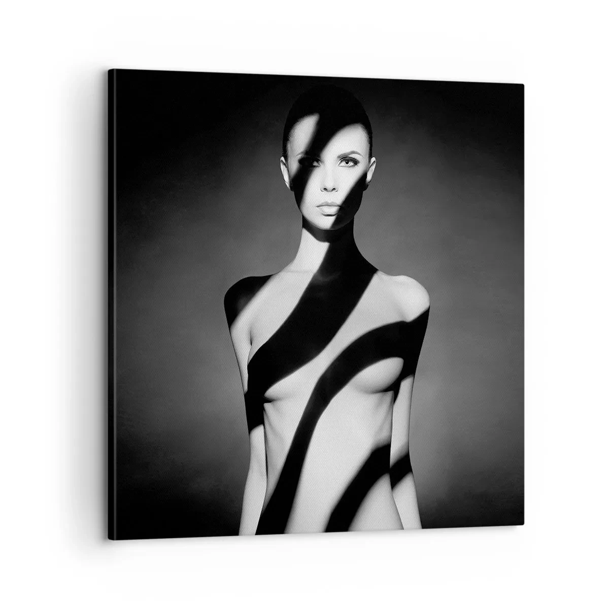 Obraz na plátně - V záři i ve stínu - 60x60 cm