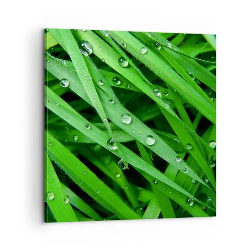 Obraz na plátně - Hrajte na zelenou - 60x60 cm
