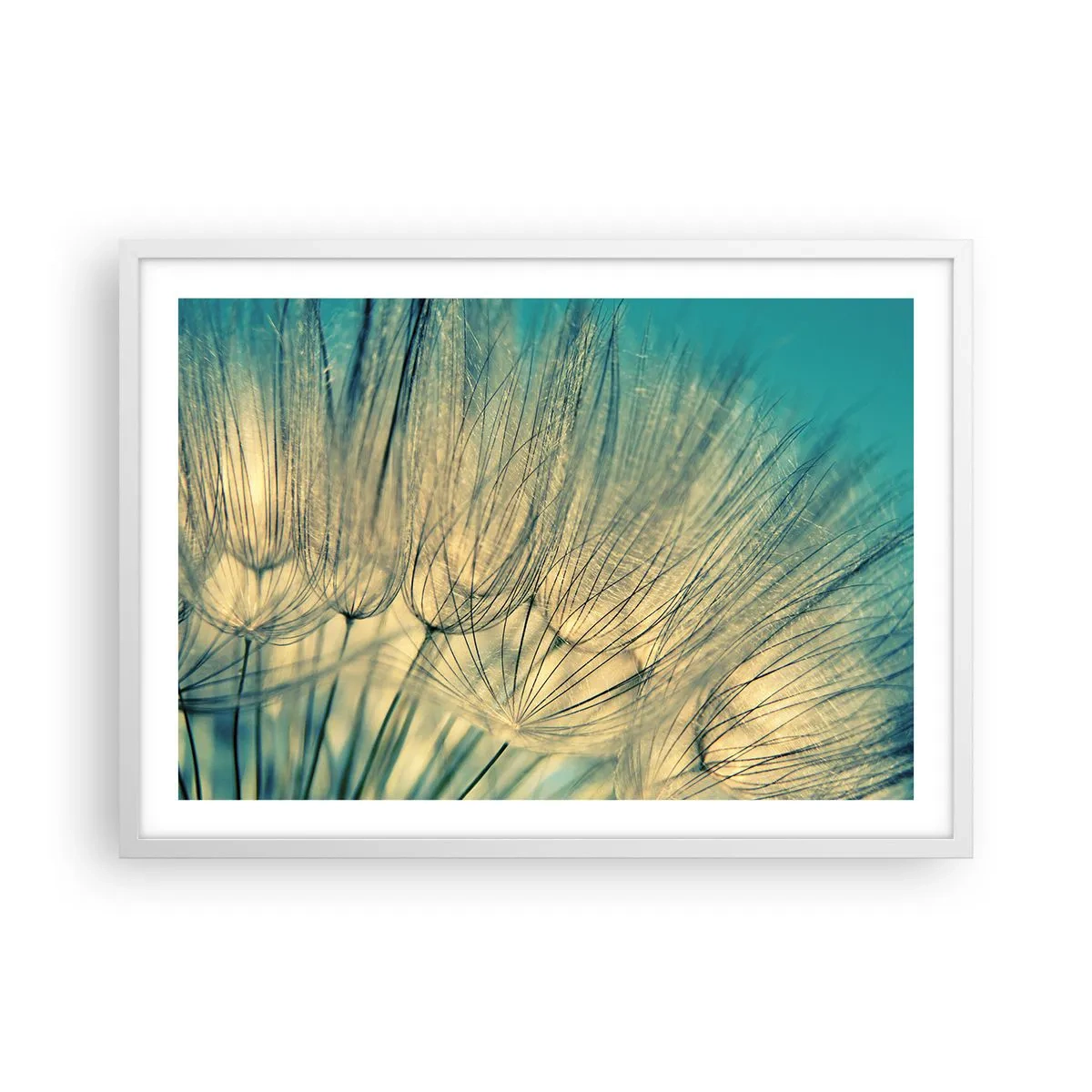 Plakát v bílém rámu - Čekání na vítr - 70x50 cm