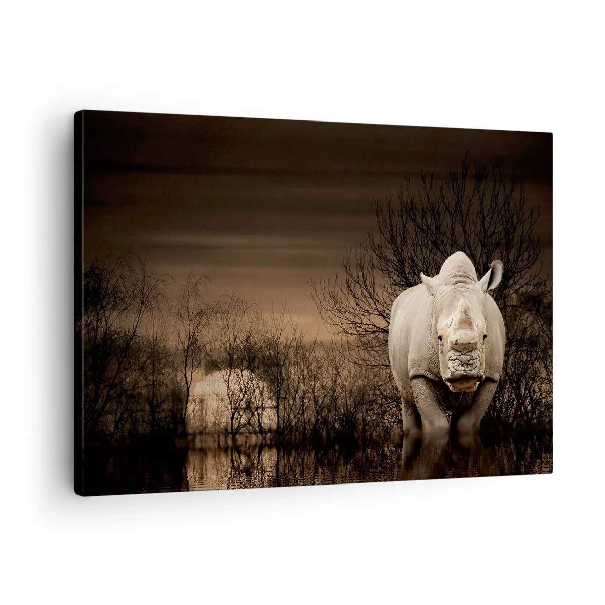 Obraz na plátně - Nosorožec mezi stromy při západu slunce, divoká příroda. - 70x50cm - Bílý proti přírodě - Moderní nástěnná dekorace do obývacího pokoje a ložnice ARTTOR