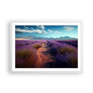Plakát v bílém rámu - Voňavá pole - 70x50 cm