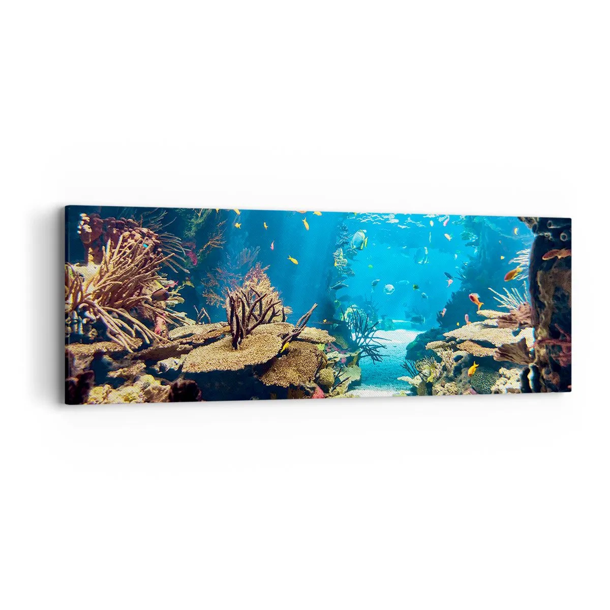 Obraz na plátně - Ani ve snu tě to nenapadlo - 90x30 cm