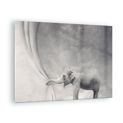 Obraz na skle - Slon v surrealistickém prostředí se závěsem - 70x50cm - Odhalit tajemství - Moderní nástěnná dekorace do obývacího pokoje a ložnice ARTTOR