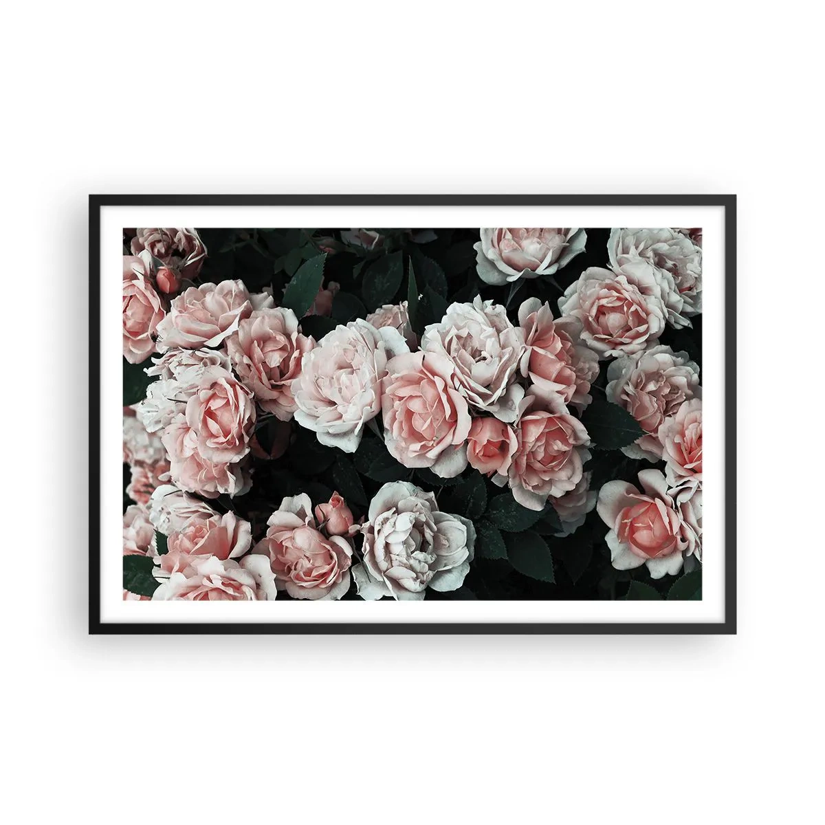 Plakát v černém rámu - Růžový ansámbl - 91x61 cm