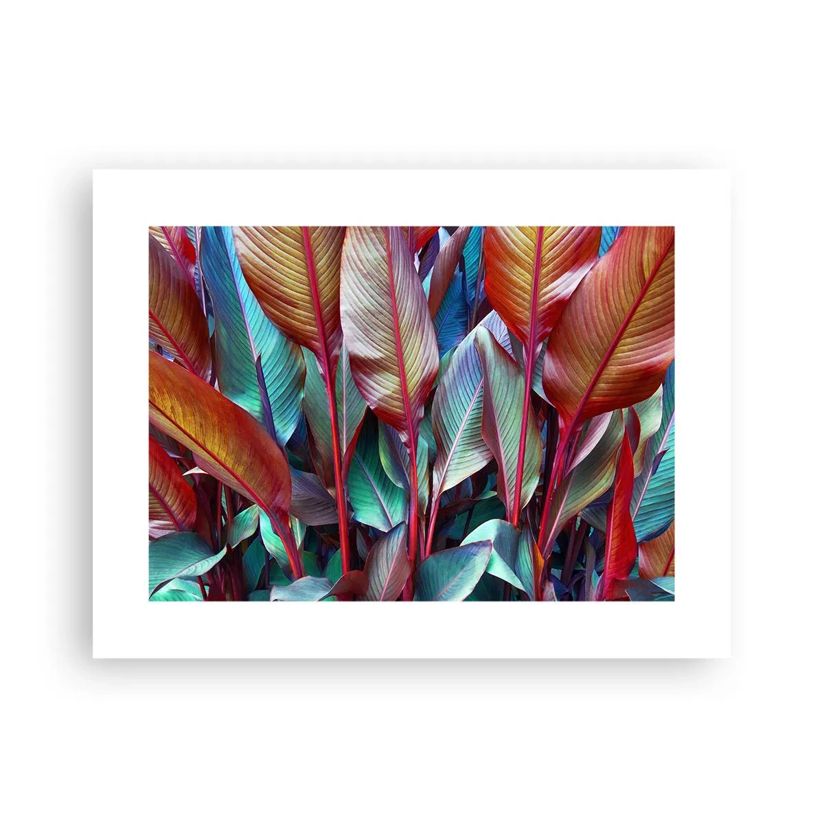 Plakát - Barevná houština - 40x30 cm