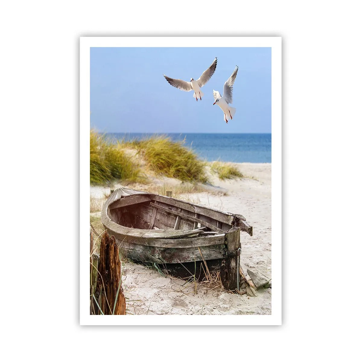 Plakát - Větrem ozářené - 70x100 cm