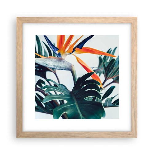 Plakát v rámu světlý dub - Ptákeř - 30x30 cm