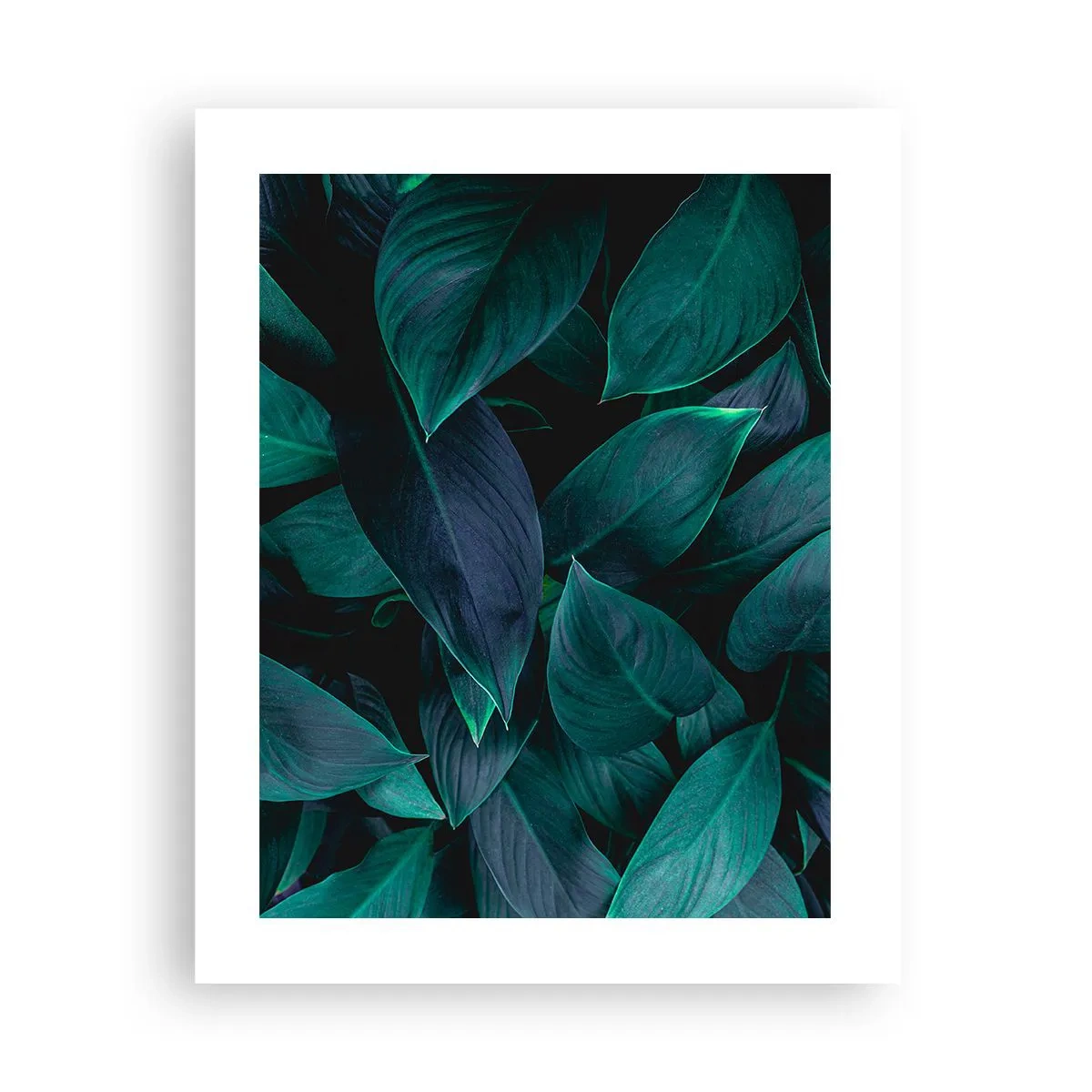 Plakát - Zeleň sama o sobě - 40x50 cm