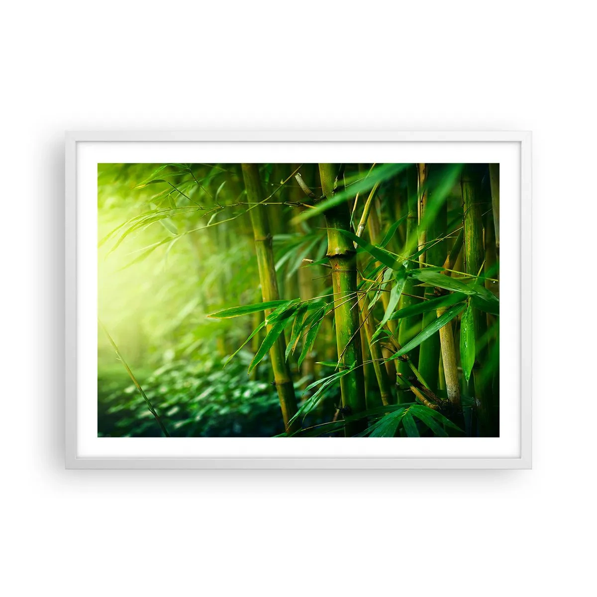 Plakát v bílém rámu - Poznat samotnou zeleň - 70x50 cm